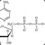 adenosine triphosphate