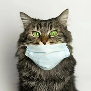 Mar1x - steam id 76561199089278558