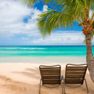 richarlison full focus