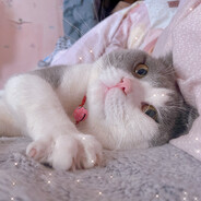 扒开你的眼睛看我是谁