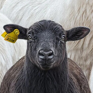 qRt - steam id 76561198983362424