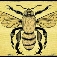plantja avatar