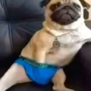 Игорь Сварка