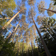 Handsomehero333@outlook.com