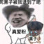 zeng