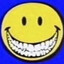 HAPPY HAPPY JOY JOY