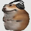 bobunator3000