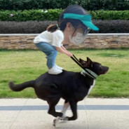 骑着小狗血战gogo