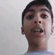 Fin
