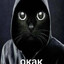 Похуй, команда в муте