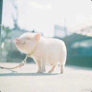 保护我方小发发