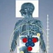 你打败了我也打爆了G鸡