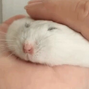 КругомТонирован