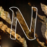 Noripan Inés
