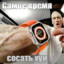 Хуем По хамстеру