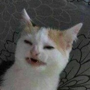 L hellcase.com lyveraffle.com