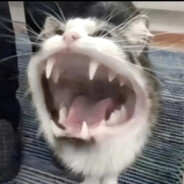 香蕉道最速伝説と明亮