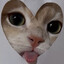 twitch.tv/theNOWHhERE