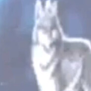 wariacik.łukasz.rs6