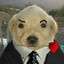 Clankoso_Business