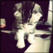 又到了一年白色相簿的季节