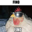 FinoPaco