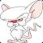 Mr.Brain!