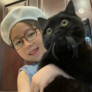 都是流星雨的错