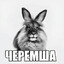 ЧЕРЕМША