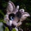 Tevo Silverfox