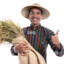rice dealer