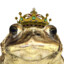 KroetenHaupt