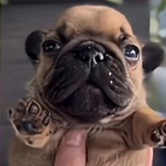 Maczek skins.army skins