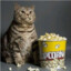 Movie Popcorn