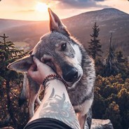 am luat vac sal - steam id 76561198797875563