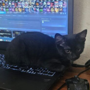 Steam Community Avatar