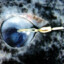 Parasite in Greenland Shark Eye