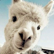 用蹄子玩的草泥马咩～