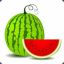 meet the watermelon  (thailand)