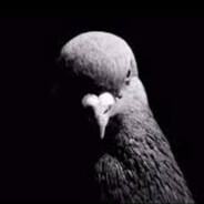 следи за словами