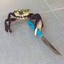 Stabbo the Crabbo