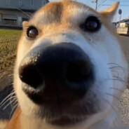 歼灭原批第一人