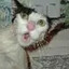 wet pussy