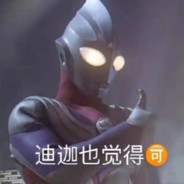 用狗子扫描去捉奸DGG