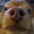 Whisket