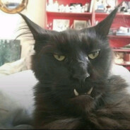 «ЗАО» бещеки♿