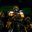 [SQ] Bumblebee