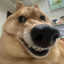 Saengow Jr
