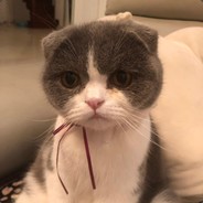 发型简约 品味时尚