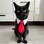 Pépito